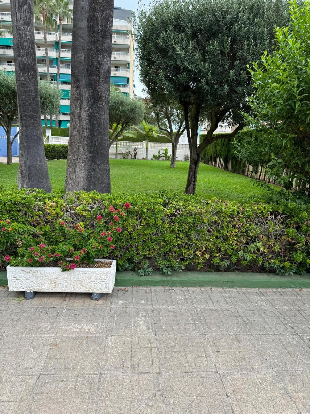 Ferienwohnung Laramar Playa de Gandia Exterior foto